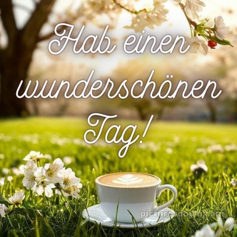 Schönen tag wünschen bild Gras kostenlos