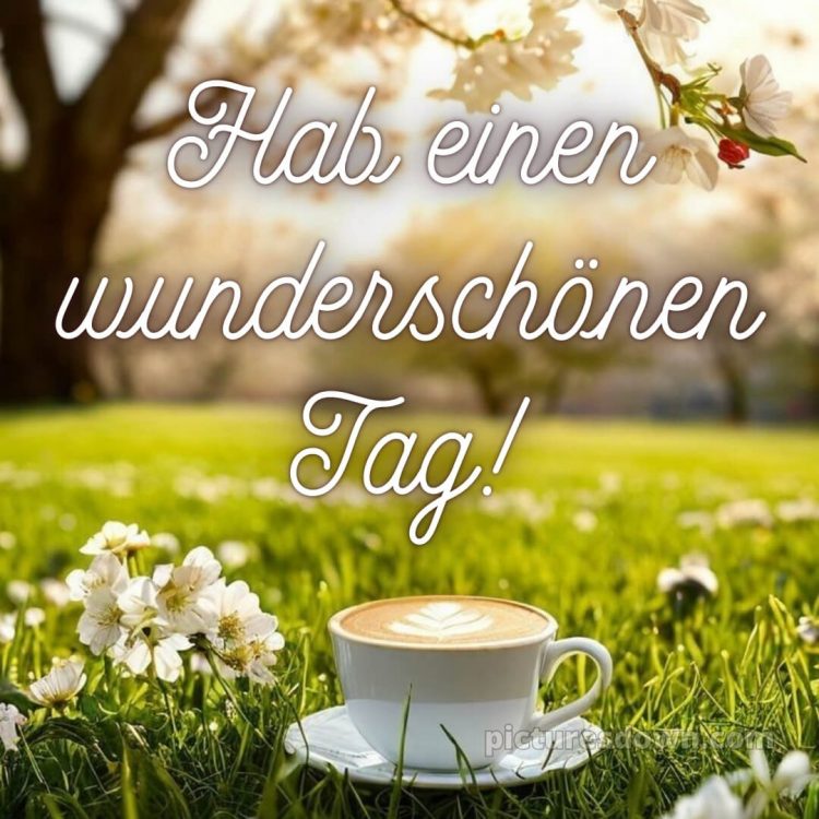 Schönen tag wünschen bild Gras kostenlos