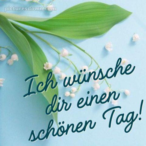 Schönen tag wünschen bild Maiglöckchen kostenlos