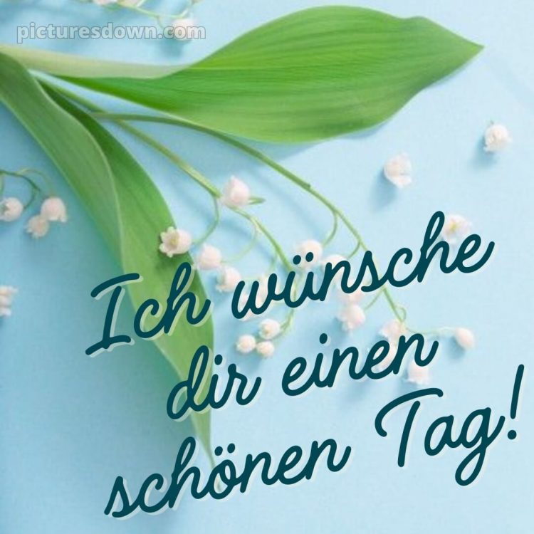 Schönen tag wünschen bild Maiglöckchen kostenlos