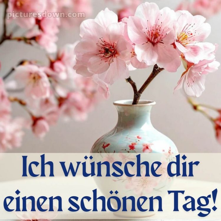 Schönen tag wünschen bild Vase kostenlos