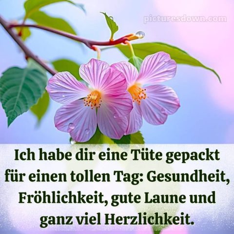 Schönen tag wünschen bild Himmel kostenlos