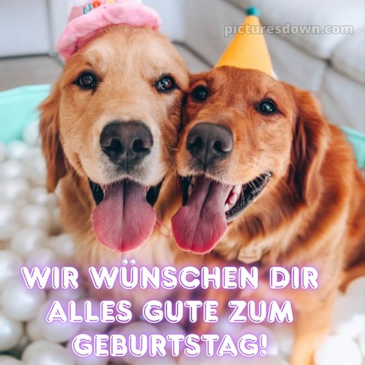 Wir wünschen dir alles gute zum geburtstag lustig bild Zungen kostenlos