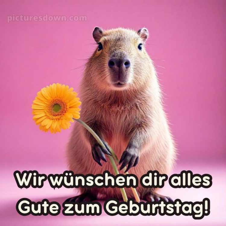 Wir wünschen dir alles gute zum geburtstag lustig bild Blume kostenlos