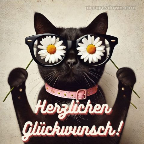 Wir wünschen dir alles gute zum geburtstag lustig bild Gänseblümchen kostenlos