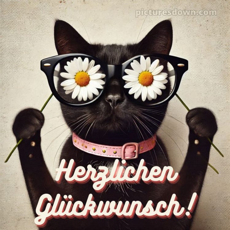 Wir wünschen dir alles gute zum geburtstag lustig bild Gänseblümchen kostenlos