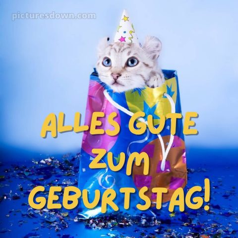 Wir wünschen dir alles gute zum geburtstag lustig bild Paket kostenlos