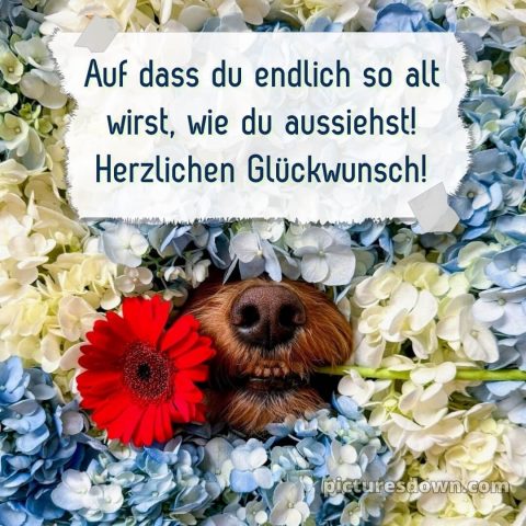 Wir wünschen dir alles gute zum geburtstag lustig bild Nase kostenlos