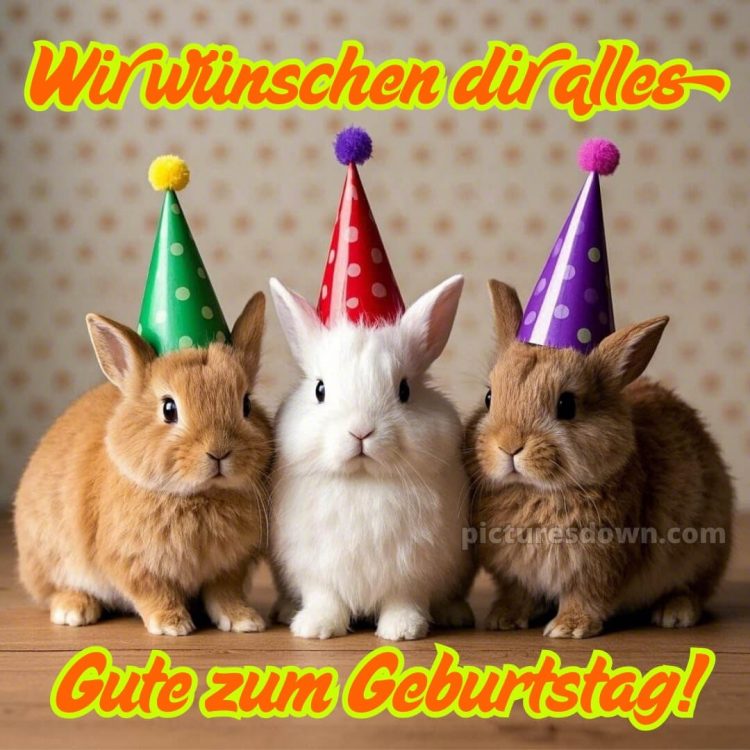 Wir wünschen dir alles gute zum geburtstag lustig bild Kaninchen kostenlos
