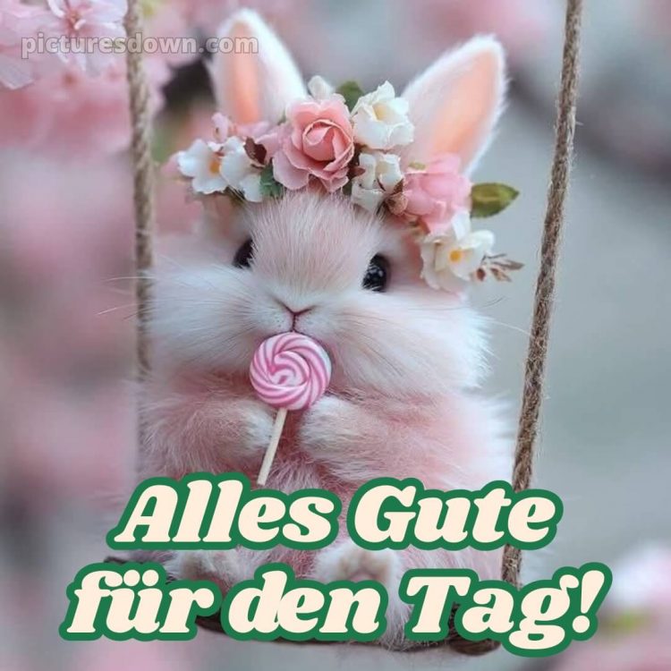 Wünsche dir einen schönen tag bild Hase kostenlos