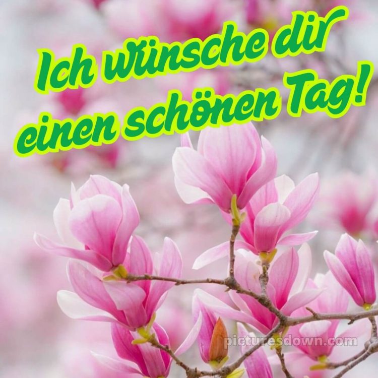 Wünsche dir einen schönen tag bild Blumen kostenlos