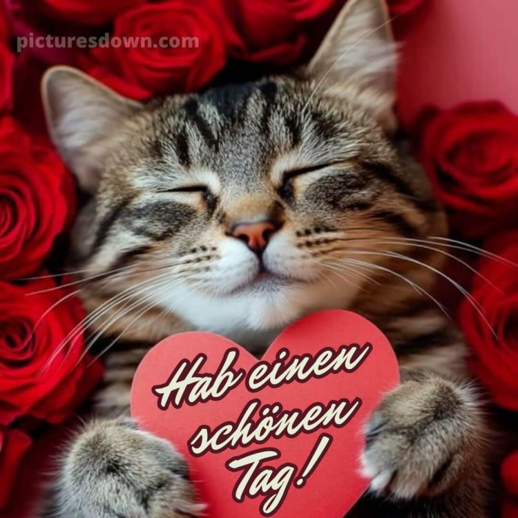 Wünsche dir einen schönen tag bild Katze kostenlos