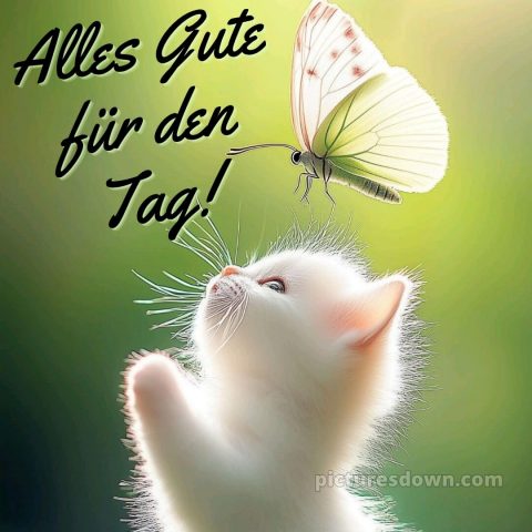 Wünsche dir einen schönen tag bild Schmetterling kostenlos