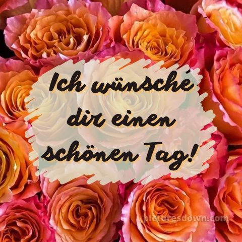 Wünsche dir einen schönen tag bild Blumenstrauß kostenlos