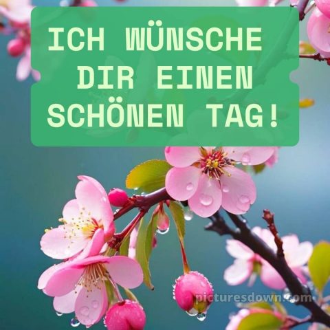 Wünsche dir einen schönen tag bild Himmel kostenlos