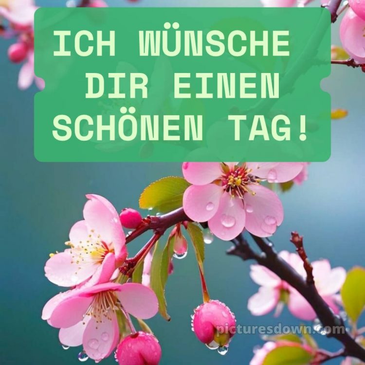 Wünsche dir einen schönen tag bild Himmel kostenlos