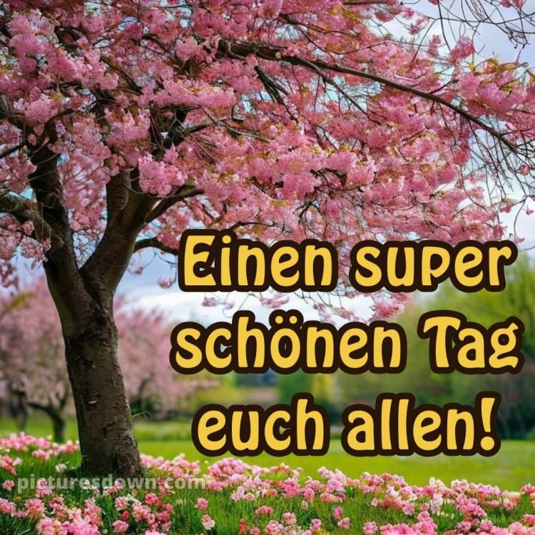 Einen schönen tag bilder bild Baum kostenlos