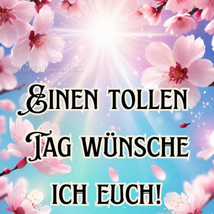 Einen schönen tag bilder bild Sonne kostenlos