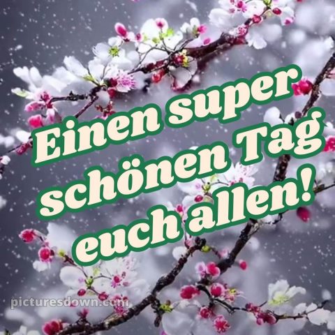 Einen schönen tag bilder bild Karte kostenlos