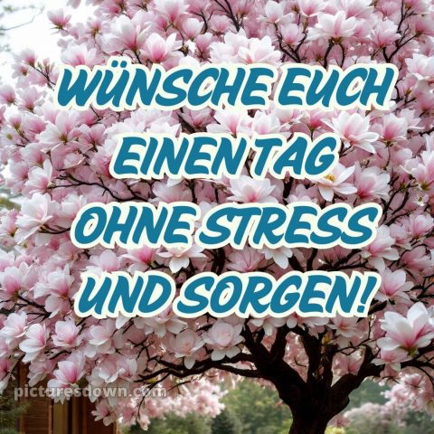 Einen schönen tag bilder bild Blühende kostenlos