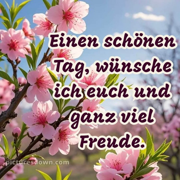 Einen schönen tag bilder bild Himmel kostenlos