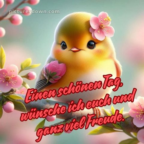 Einen schönen tag bilder bild Vogel kostenlos
