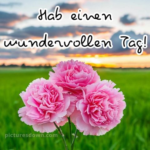 Einen schönen tag wünschen bild Wiese kostenlos