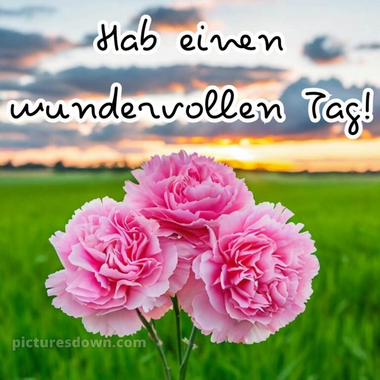 Einen schönen tag wünschen bild Wiese kostenlos