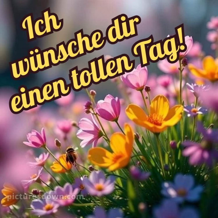 Einen schönen tag wünschen bild Blumen kostenlos
