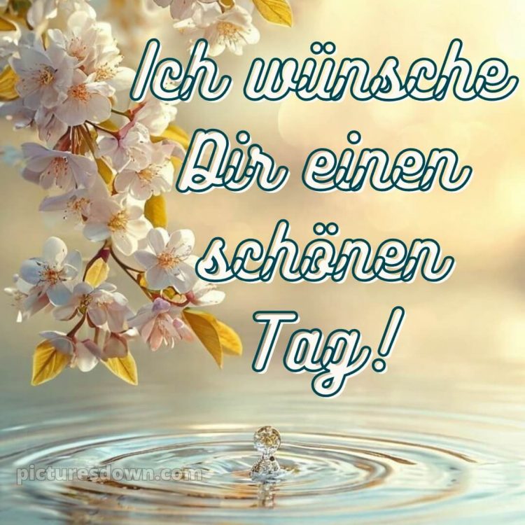 Einen schönen tag wünschen bild Wasser kostenlos