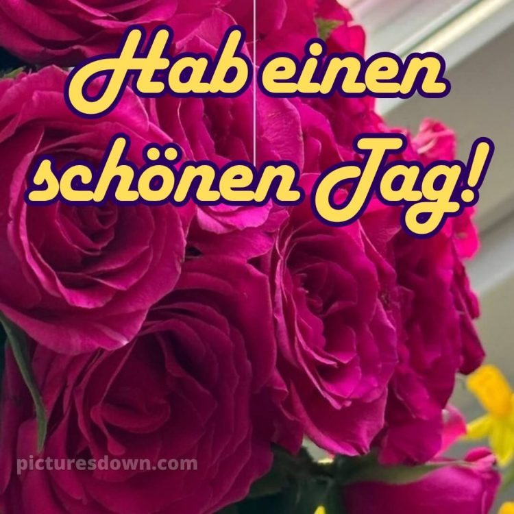 Einen schönen tag wünschen bild Strauß kostenlos