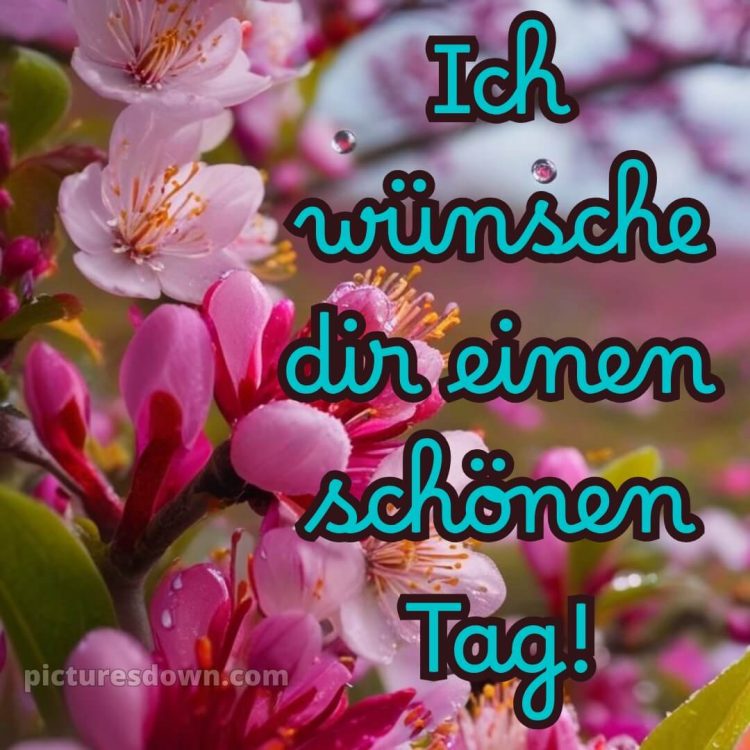 Guten morgen hab einen schönen tag bild Karte kostenlos