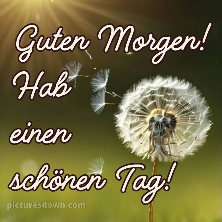 Guten morgen hab einen schönen tag bild Löwenzahn kostenlos