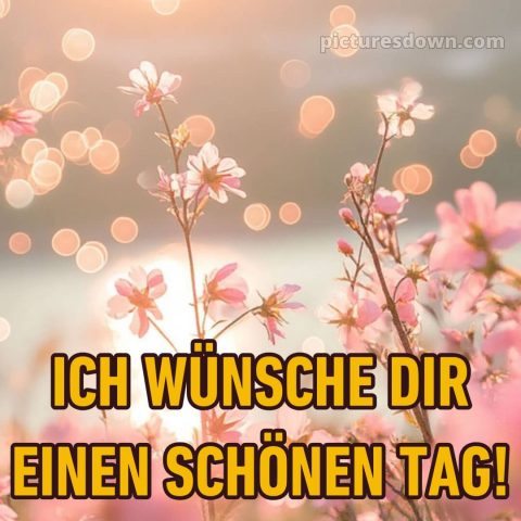 Guten morgen hab einen schönen tag bild Licht kostenlos