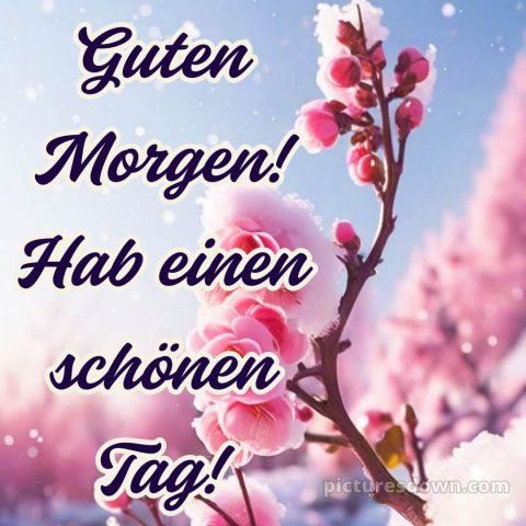 Guten morgen hab einen schönen tag bild Zweigstelle kostenlos