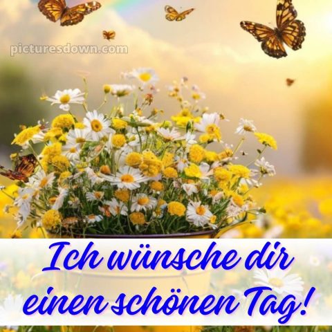 Guten morgen hab einen schönen tag bild Schmetterling kostenlos