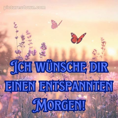 Guten morgen schönen tag bilder bild Schmetterling kostenlos