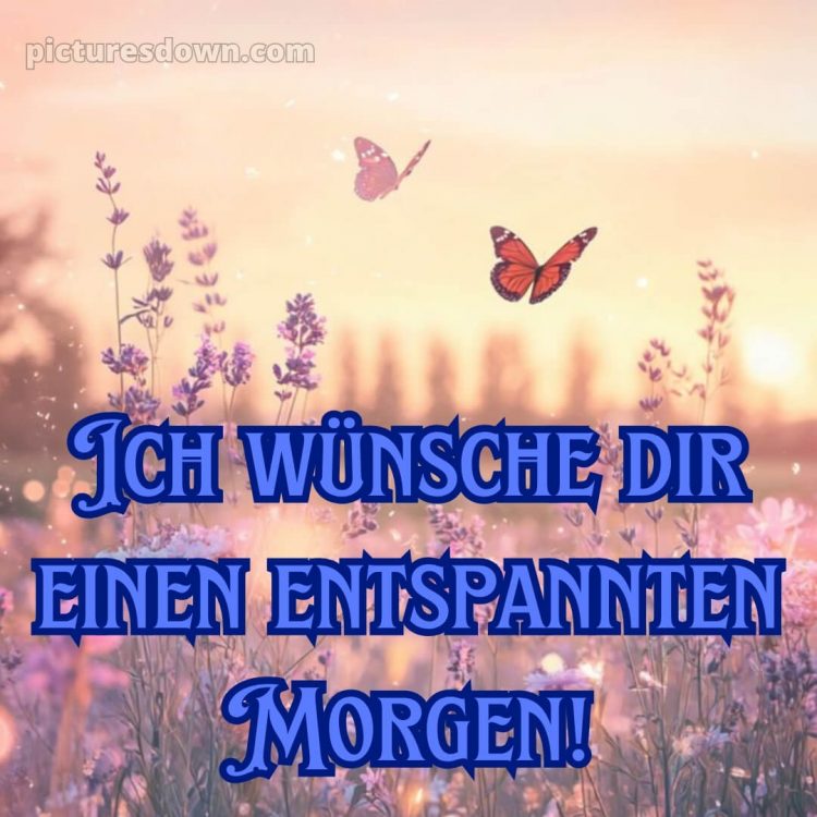 Guten morgen schönen tag bilder bild Schmetterling kostenlos