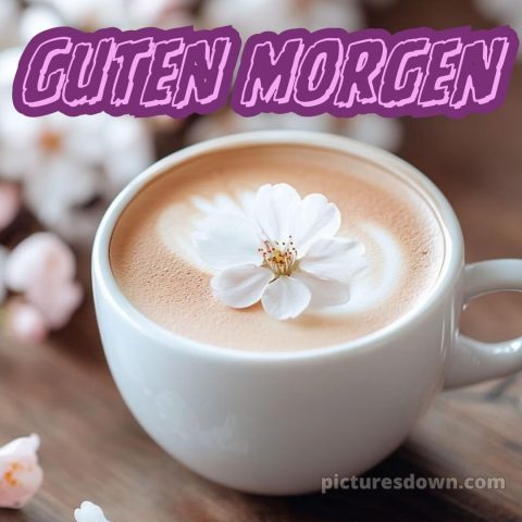 Guten morgen schönen tag bilder bild Blume kostenlos