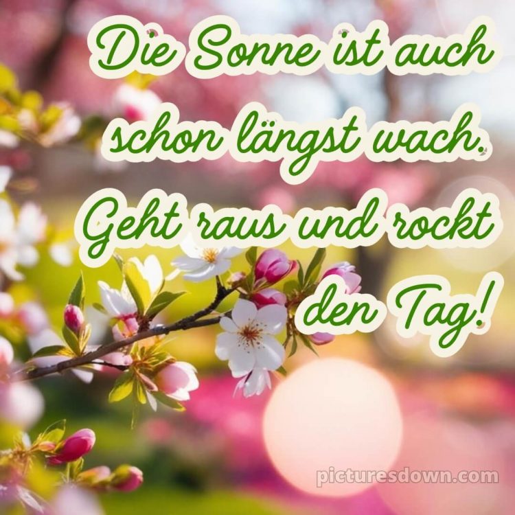 Guten morgen schönen tag bilder bild Zweigstelle kostenlos