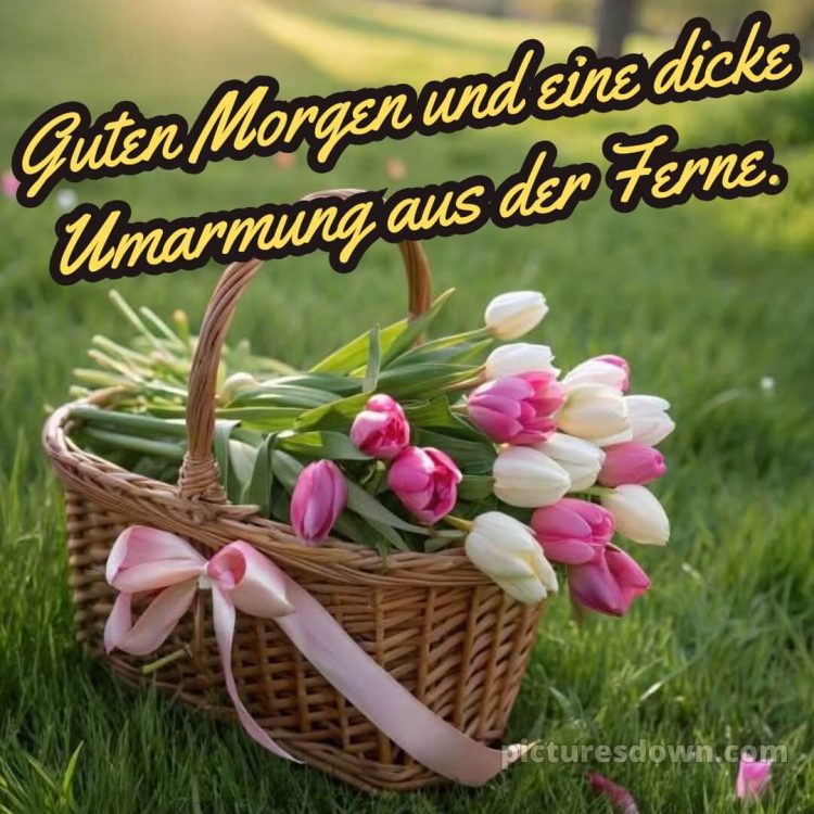 Guten morgen schönen tag bilder bild Korb kostenlos