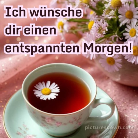Guten morgen schönen tag bilder bild Gänseblümchen kostenlos