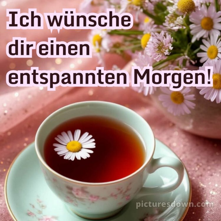 Guten morgen schönen tag bilder bild Gänseblümchen kostenlos