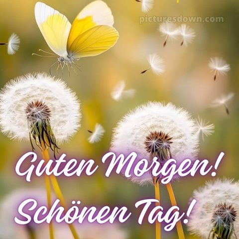 Guten morgen schönen tag bilder bild Löwenzahn kostenlos
