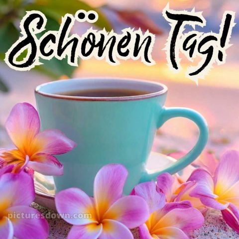 Guten morgen schönen tag bilder kostenlos bild Tasse kostenlos