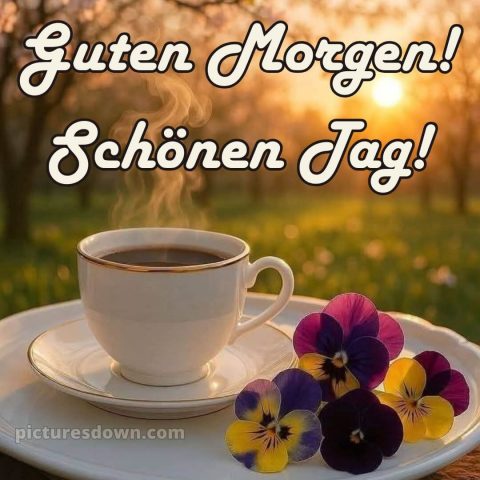 Guten morgen schönen tag bilder kostenlos bild Tee kostenlos