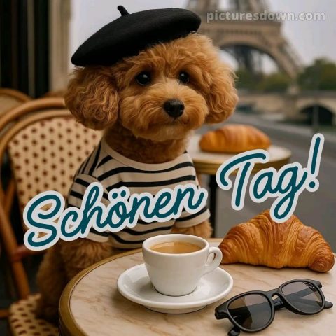 Guten morgen schönen tag bilder kostenlos bild Hund kostenlos