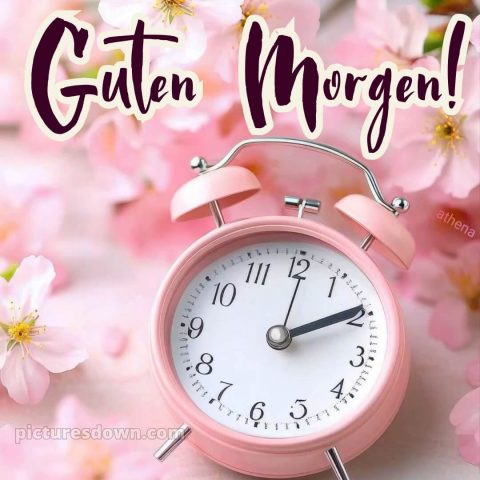 Guten morgen schönen tag bilder kostenlos bild Wecker kostenlos