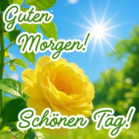 Guten morgen schönen tag bilder kostenlos bild Sonne kostenlos