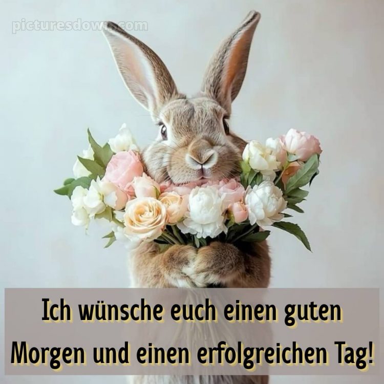 Guten morgen wünsche dir einen schönen tag bild Kaninchen kostenlos
